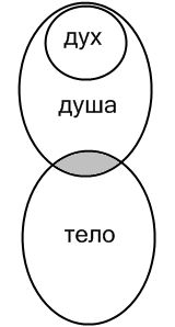 Душа и тело. Дух и душа в науке. Триединство духа и троичность всех его проявлений. На схеме лица написано тело душа дух.